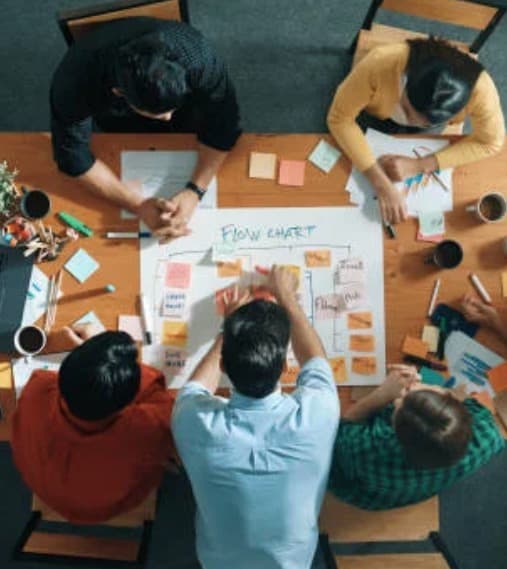 accompagnement_organisation formation au management d'une organisation